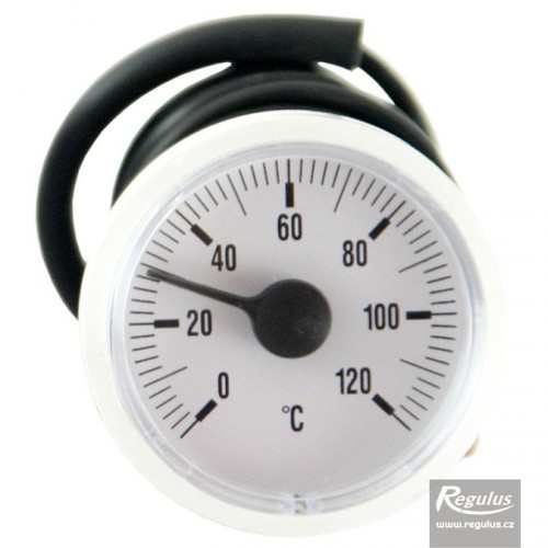 REGULUS 113.10126.00A TG Thermometer 0–120°C, O42 mm, Kapillare 1 m, weiß, 1148 REGULUS 113.10126.00A TG Thermometer 0–120°C, O42 mm, Kapillare 1 m, weiß, 1148