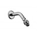 Brausearm 175mm DN15 27415000 chrom