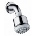 Hansgrohe Clubmaster Kopfbrause mit Brausenarm DN15 27475000