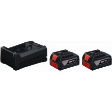 BOSCH 2x GBA 18V 5.0Ah + GAL 12V/18V-80 PROFESSIONAL Batterie/Ladegerät Set 1600A03CH1