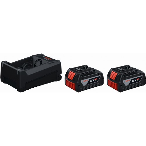 BOSCH 2x GBA 18V 5.0Ah + GAL 12V/18V-80 PROFESSIONAL Batterie/Ladegerät Set 1600A03CH1 BOSCH 2x GBA 18V 5.0Ah + GAL 12V/18V-80 PROFESSIONAL Batterie/Ladegerät Set 1600A03CH1