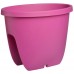 PLASTKON Geländerkasten Balconia Ovi 30 cm fuchsie