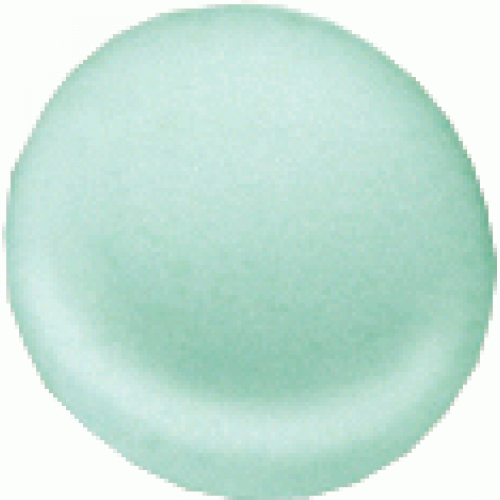 RAVAK Nackenstützen LoveStory - grün B60000000Z