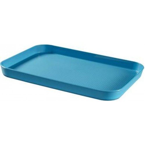 CURVER ESSENTIALS Tablett 43 x 31 x 3,5 cm blau 00738-656