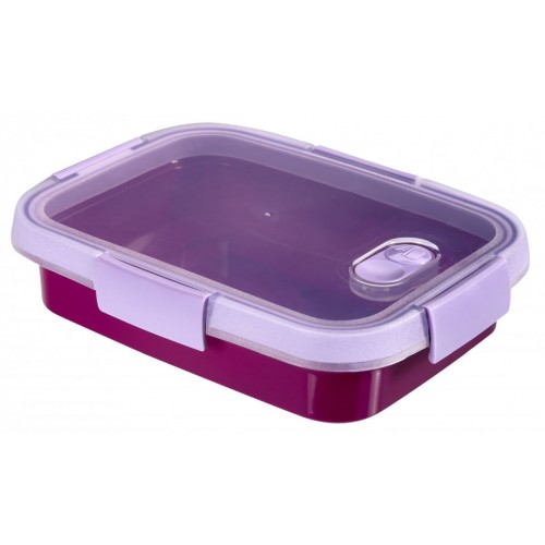 CURVER SMART TO GO 0,7l Sandwich box 20x15x5cm lila 00945-Y34