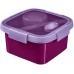 CURVER SMART TO GO 1,1L Lunchbox mit Besteck 16x16x9cm lila 00950-Y34