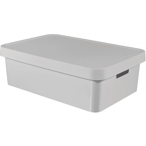 CURVER INFINITY 30L Aufbewahrungsbox mit Deckel 56 x 18 x 39 cm grau 01718-099