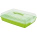 CURVER Cake take away box mit Deckel 00415-062