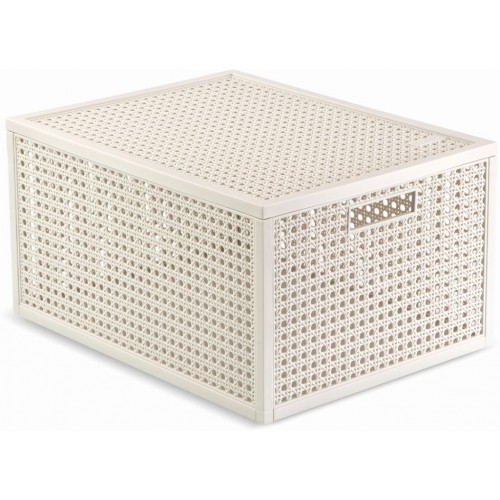 CURVER KAYA M 20L Aufbewahrungsbox 37,6 × 30 × 20,7 cm, Beige 17213763 CURVER KAYA M 20L Aufbewahrungsbox 37,6 × 30 × 20,7 cm, Beige 17213763