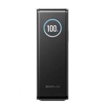 EcoFlow RAPID Powerbank (25 000 mAh, 170 W) – Schwarz 1ECORAP25000-140-B-EU