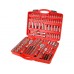 Extol Premium Steckschlüssel, Set 172 Stück, 1/4 Zoll, 3/8 Zoll, 1/2 Zoll, 8818345