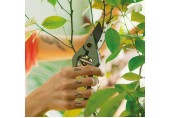 Fiskars Plant Care Gartenschere mit Hülle, 20 cm 1075314