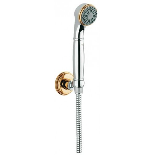 Brausegarnitur 28976IG0 chrom/gold