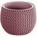Prosperplast SPLOFY Bowl Blumentopf 18cm, 1,4l, heidelbeere DKSP180-5245U