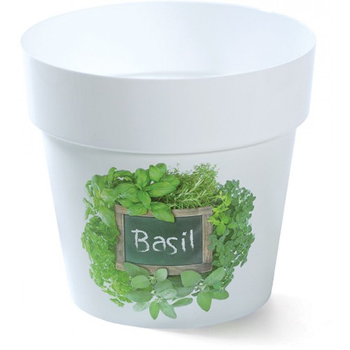 PROSPERPLAST Blumentopf Übertopf IML 12 cm Kräuter Basil H3 DML120