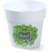 PROSPERPLAST Blumentopf Übertopf IML 14 cm Kräuter Basil H3 DML140