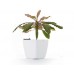 G21 Blumentopf mit Wasserspeicher Cube weiß 22 cm 6392410