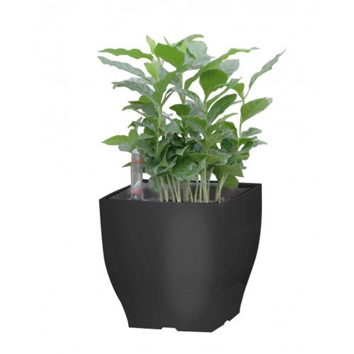 G21 Blumentopf mit Wasserspeicher Cube mini 13,5 cm schwarz 6392573