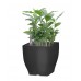 G21 Blumentopf mit Wasserspeicher Cube mini 13,5 cm schwarz 6392573