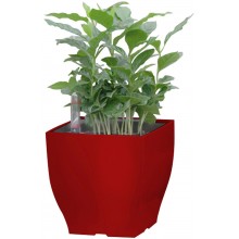 G21 Blumentopf mit Wasserspeicher Cube mini rot 13,5 cm 6392574