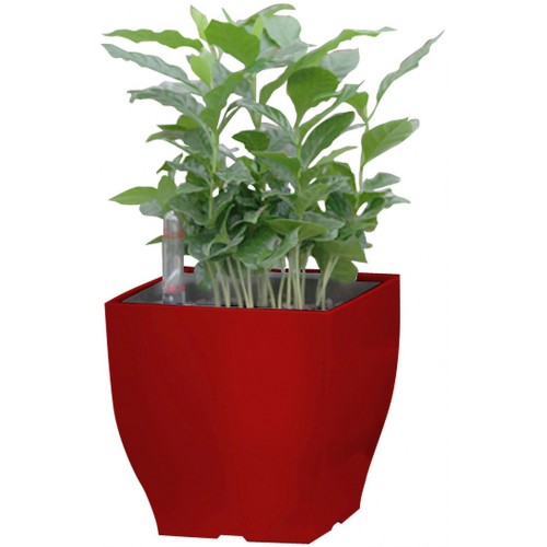 G21 Blumentopf mit Wasserspeicher Cube mini rot 13,5 cm 6392574