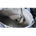 BOSCH PRO Scheibenfräser, 105×22×4 mm, 8 Zähne 3608641013