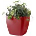 G21 Blumentopf mit Wasserspeicher Cube maxi rot 45 cm 6392421