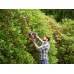 Black & Decker BEHTS451-QS Elektro-Heckenschere (60cm/550W)
