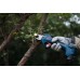 BOSCH GGP 12V-25 PROFESSIONAL Akku-Gartenschere 06008D8101
