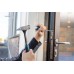 BOSCH Hammer 1600A016BT