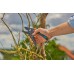 GARDENA PremiumCut Pro Trockenes Holz Gartenschere Amboss 12250-20