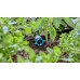 GARDENA MDS Reihentropfer Regulierbarer 13314-20