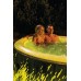 INTEX PureSpa Glow Deluxe Bubble Whirlpool für 4 Personen S2 28494NP