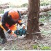 Makita UC025GZ Werkzeug - Akku-Kettensäge 350 mm Li-ion XGT 40V, ohne akku