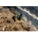 Metabo SP 120-35 S Schmutzwasser-Tauchpumpe 601794000