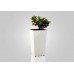PLASTKON In- & Outdoor Blumentopf Elise 15 cm weiß glänzend