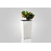 PLASTKON In- & Outdoor Blumentopf Elise 20 cm weiß glänzend