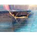 ABVERKAUF BOSCH GAS 15 PROFESSIONAL Universalstaubsauger 06019E5000 BESCHÄDIGTE VERPACKUNG