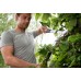 Fiskars PowerGear™ X (M) Bypass-Getriebeastschere LX94 (112390) 1020187