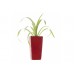 G21 Blumentopf mit Wasserspeicher Linea mini rot 14 cm 6392471