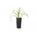 G21 Blumentopf mit Wasserspeicher Trio mini schwarz 15 cm 639251