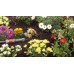 GARDENA Micro-Drip-System Basisgerät 1000, 1355-20