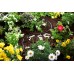 GARDENA Tropfrohr oberirdisch 4,6 mm (3/16") 15m, 1361-20