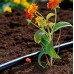 GARDENA Micro-Drip-System Endtropfer 2l/h ( 25St.) 1340-20