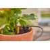 GARDENA MDS Tropfbewässerung Set Balkon (15 Pflanzen) 13401-20