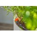 GARDENA MDS Tropfbewässerung Set Balkon (15 Pflanzen) 13401-20