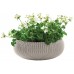 KETER COZIES L Blumentopf, 54 x 54 x 20,4 cm, sand 17202258