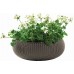 KETER COZIES L Blumentopf, 54 x 54 x 20,4 cm, braun 17202258