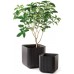 KETER CUBE PLANTER L Blumentopf, 39,5 x 39,5 x 39,5 cm, anthrazit 17201220