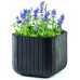 KETER CUBE PLANTER M Blumentopf, 29,5 x 29,5 x 29,7 cm, anthrazit 17202066